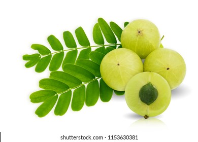 Amla green fruits ,Phyllanthus emblica isolated on white background. This has clipping path.                         