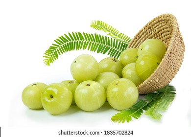 Amla green fruits ,Phyllanthus emblica isolated on white background. This has clipping path. 