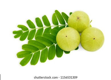 Amla green fruits,Phyllanthus emblica isolated on white background. This has clipping path.