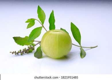 Amla, Henna and Tulsi ,fresh green herbal medicinal plant arranged on white background