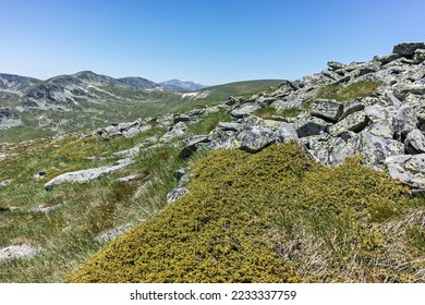 Ammazing Summer landscape of Rila mountain near Belmeken Reservoir, Bulgaria - Shutterstock ID 2233337759