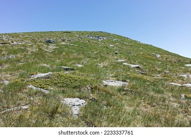 Ammazing Summer landscape of Rila mountain near Belmeken Reservoir, Bulgaria - Shutterstock ID 2233337761