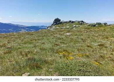 Ammazing Summer landscape of Rila mountain near Belmeken Reservoir, Bulgaria - Shutterstock ID 2233337795