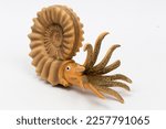 Ammonite isolated on white background. Ancient sea animals and figure toys concepts. Horizontal close-up.