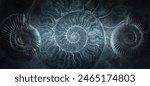 Ammonite shell on an ancient background. Concept on the topic of science, history, paleontology, archeology, geology. History of the Earth background.