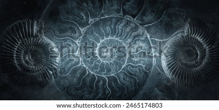Ammonite shell on an ancient background. Concept on the topic of science, history, paleontology, archeology, geology. History of the Earth background.