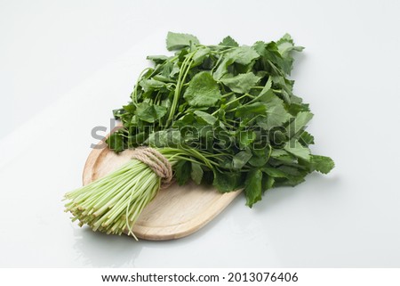 Among wild vegetables, oak greens with excellent taste and aroma are representative alkaline ingredients rich in beta-carotene. Oak greens can be used raw or dried and eaten as fermented vegetables.