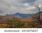 The Amphitheater formation seen from a hiking trail in the Royal Natal National Park in the Drakensberg South Africa