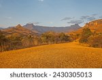 The Amphitheater formation seen from the Royal Natal National Park in the Drakensberg South Africa