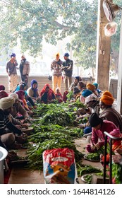 Amritsar India - Febuary 8, 2020: Volunteers Help Prepare Food In The Free Kitchen (Langar) At Sikh Golden Temple (sri Harmandir Sahib)