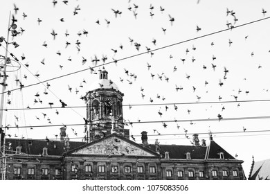 Amsterdam Dam Square