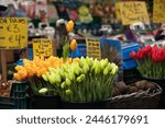 Amsterdam, Netherlands - 01 14 2018: Tulips in flower market