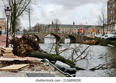Amsterdam, the Netherlands - 19 February 2022: Trees blown away after The Eunice Storm. Eunice is an intense extratropical cyclone that is part of the 2021–2022 European windstorm season. 