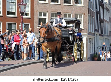 Amsterdam, The Netherlands - August 11, 2017: Horse pulling carriage with tourists on a bridge in historical Amsterdam, The Netherlands on August 11, 2017