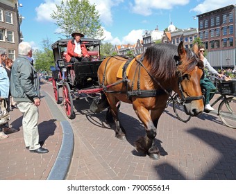 Amsterdam, The Netherlands - August 11, 2017: Horse pulling carriage with tourists on a bridge in historical Amsterdam, The Netherlands on August 11, 2017