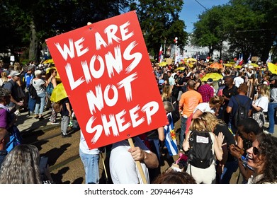 AMSTERDAM, NETHERLANDS - SEPTEMBER 5, 2021: Protester holding placard: 'We are Lions not Sheep' at anti-lockdown and anti Covid-19 vaccination protest.