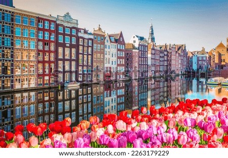 Amsterdam scenety with canal Damrak with typical dutch tulips, Holland, Netherlands.
