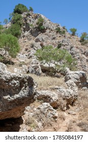 Amu Darya Gorge, Nature Reserve, Crete, Greece