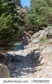 Amu Darya Gorge, Nature Reserve, Crete, Greece