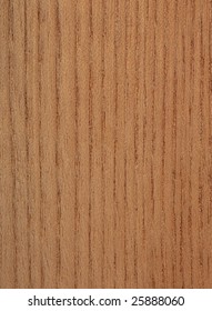 Amur Corktree Wood Texture