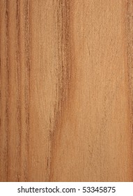 Amur Corktree Wood Texture