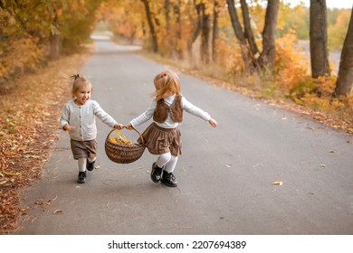 Amusing funny laughing girls are running along the road with a basket full of yellow dry fallen leaves. Children collect autumn foliage