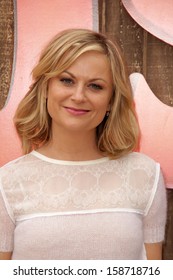 Amy Poehler At The 