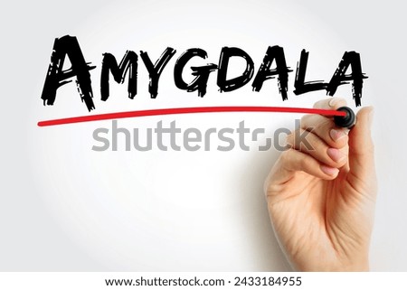 Amygdala is the integrative center for emotions, emotional behavior, and motivation, text concept background