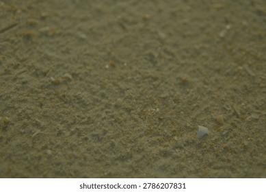 Analog camera shot capturing the granular texture of beach sand with scattered minuscule shell pieces, evoking a sense of natural detail and coastal serenity
