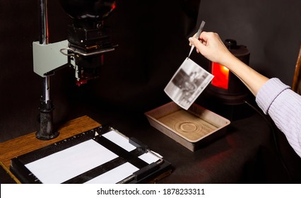 Analog photo printing. The photographer prints a black and white photograph. Photolaboratory. Red light