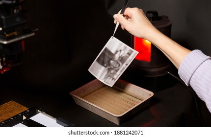 Analog photo printing. The photographer prints a black and white photograph