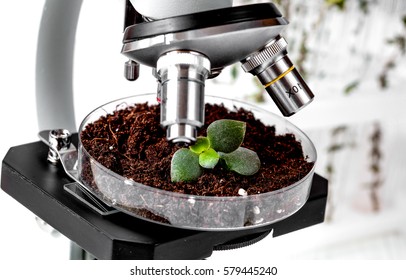 222 Soil under microscope Images, Stock Photos & Vectors | Shutterstock