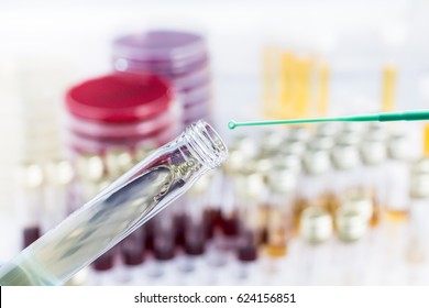 Analysis Of Urine Sample In Tube For Bacterial Growth / Inoculation Of Sample In Culture Medium In Tube