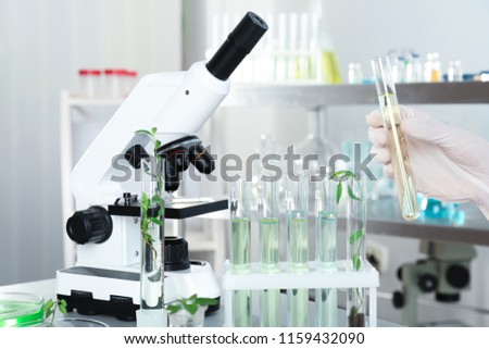 Analyst with test tubes doing chemical analysis in laboratory, closeup