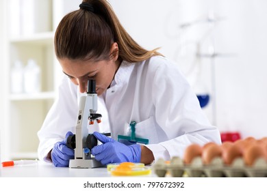 Analyze egg sample, control quality with microscope at laboratory - Shutterstock ID 797672392