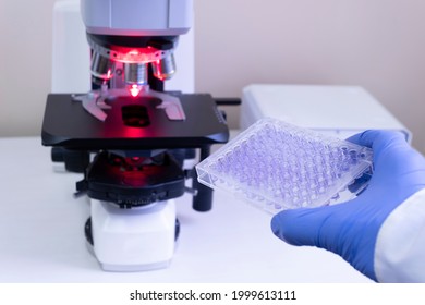 To analyze samples on a large microscope, the doctor holds an immunological tablet in his hand against the background of a microscope.