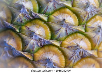 野菜の断面 Hd Stock Images Shutterstock 野菜の断面 Hd Stock Images Shutterstock
