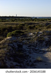 Anastasia Island Beach Dune Scene