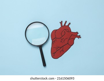 Anatomical Heart With A Magnifying Glass On A Blue Background. Diagnosis And Search For Heart Disease