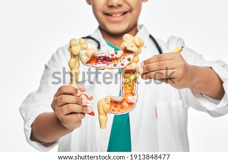 Anatomical intestines model in child's hands, close-up. Boy pointing pen to a pathology of intestines. Studying human anatomy and biology at school