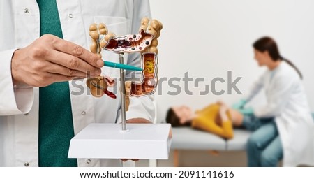 Anatomical intestines model with pathology in doctor hands. Gastroenterologist palpates patient abdomen and examines belly at clinic over background