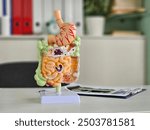 Anatomical model of the human digestive system on a desk in a classroom setting