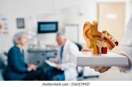 Anatomical model of human ear in doctor hands, close-up. Hearing treatment and diagnosis for senior patient with audiologist at hearing clinic over background, soft focus - Powered by Shutterstock