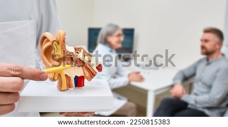 Anatomical model of human ear in doctor hands, close-up. Hearing treatment and diagnosis for male patient with audiologist at hearing clinic over background, soft focus
