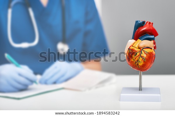Anatomical model of human heart on\
doctor table in a cardiology office. In the background, a\
cardiologist wearing a medical coat writes a diagnosis to a\
patient