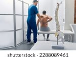 Anatomical model of spine on table in manual therapist