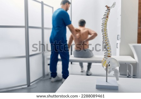 Anatomical model of spine on table in manual therapist's office. Adult man patient during spinal exam by physiotherapist on background, soft focus Сток-фото © 