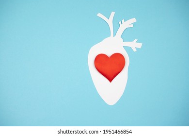 Anatomical Paper Heart With A Red Heart Inside On A Blue Paper Background. Therapy, Healthcare And Treatment Concept. Copy Space, Top View.