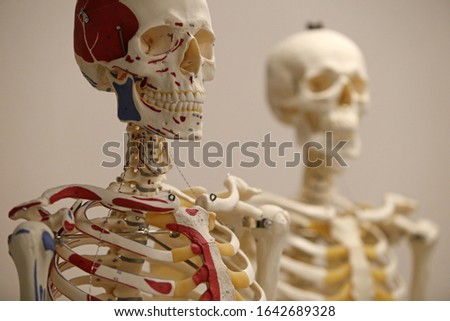 Anatomy is the branch of biology concerned with the study of the structure of organisms and their parts