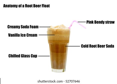 Anatomy Of A Rootbeer Float  Isolated On White